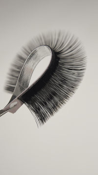 LIQUIDATION | Easy Fan ♡ Noir